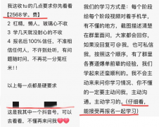 、虚假或者惹人的 